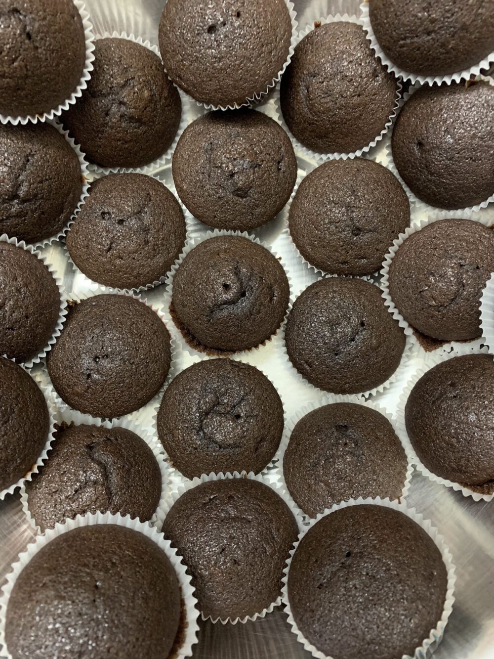 Chocolate cupcakes, cooling